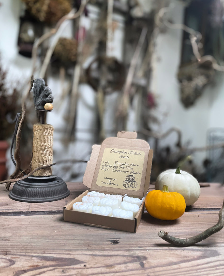 Pumpkin Patch Autumn Melt Box