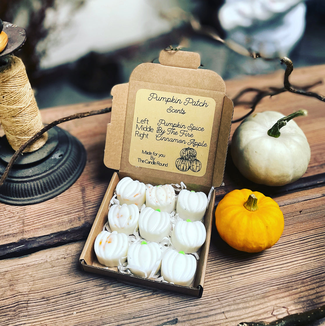 Pumpkin Patch Autumn Melt Box